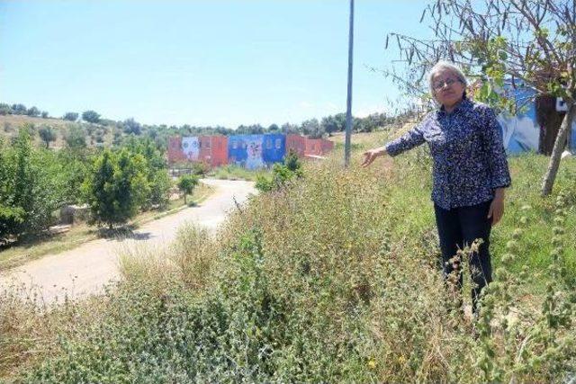 Mersin'de Barınakta Hayvan Ölümleri