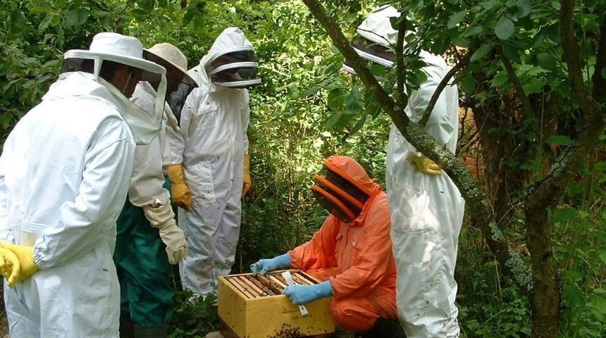 Çorum’da Orman Köylülerine 22 Milyon 344 Bin Liralık Destek