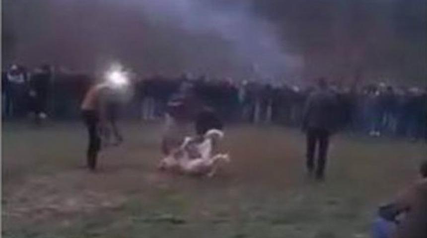 Van&rsquo;da K&ouml;pek D&ouml;v&uuml;şt&uuml;renlere B&uuml;y&uuml;k Ceza