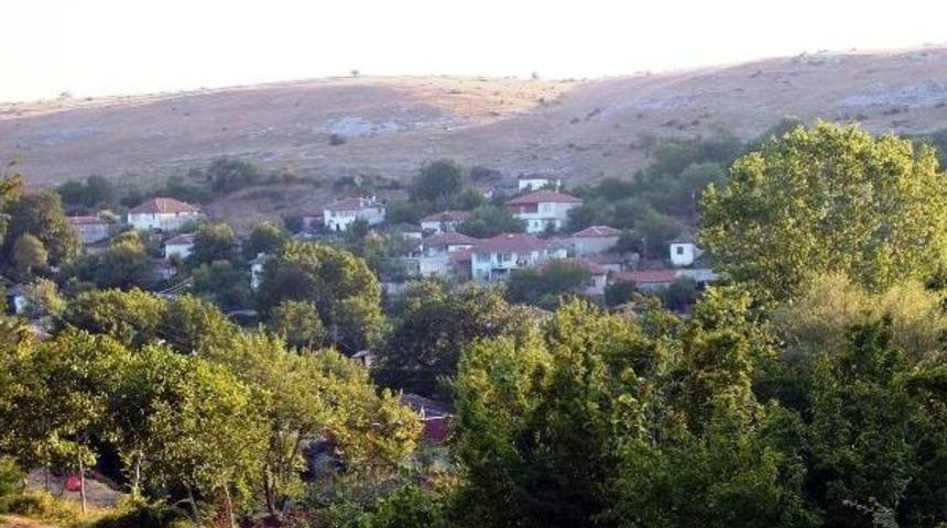 Danıştay'dan Istranca Ormanları'nda Yapılacak Kalker Ocağına Ret