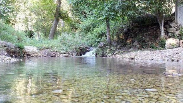 Danıştay'dan Istranca Ormanları'nda Yapılacak Kalker Ocağına Ret