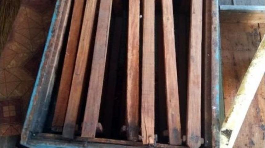 Manavgat&rsquo;ta Arı Kovanı Hırsızlığı