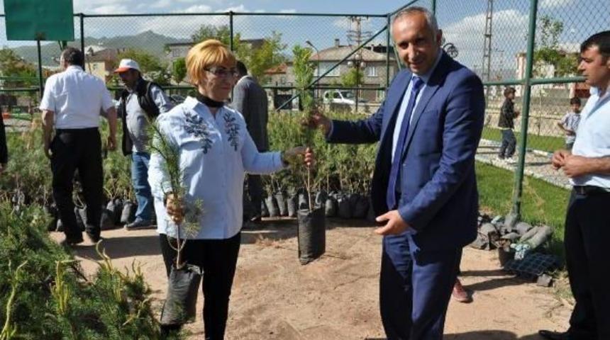 Y&uuml;ksekova Yeşilleniyor