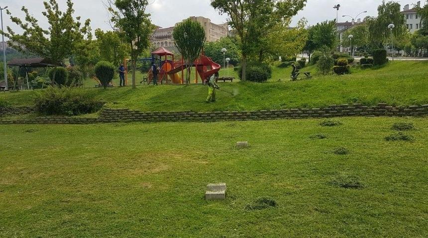 &Ccedil;im Bi&ccedil;me &Ccedil;alışmaları Arttı