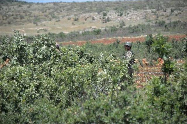 Diyarbakır'da 10 Bin Güvenlik Görevlisiyle 'pkk Ve Uyuşturucu'ya Büyük Operasyon (2)