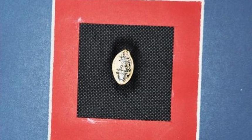 Kabak &Ccedil;ekirdeğinde Kapadokya Grav&uuml;r&uuml;