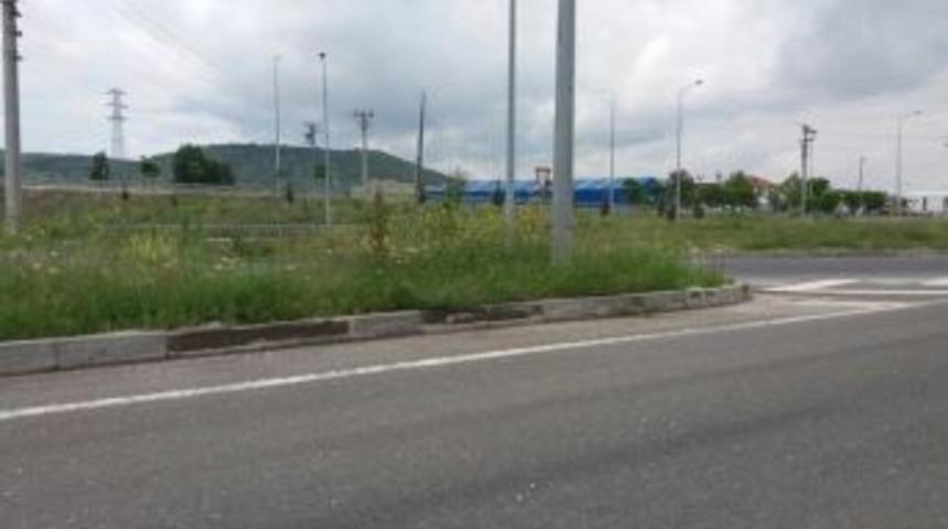 Ref&uuml;jlerde Y&uuml;kselen Otlar S&uuml;r&uuml;c&uuml;lerin G&ouml;r&uuml;ş A&ccedil;ısını Daraltıyor