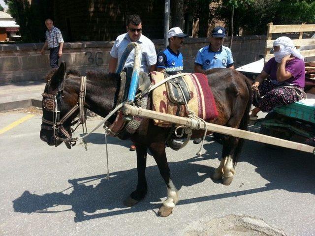 Trafiği Tehlikeye Atan At Arabalarına Zabıta ’dur’ Dedi