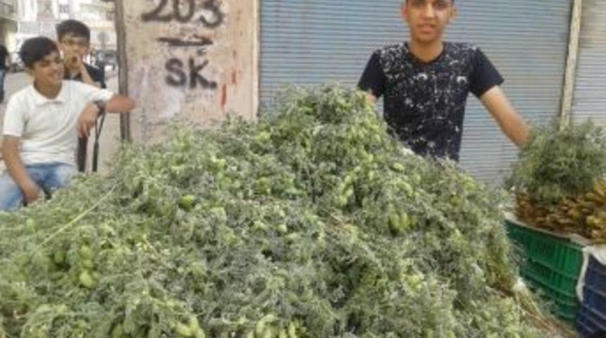 Silopi&rsquo;de Yeşil Nohut Satışları Başladı