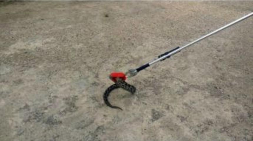 Okulda Yılan Paniği