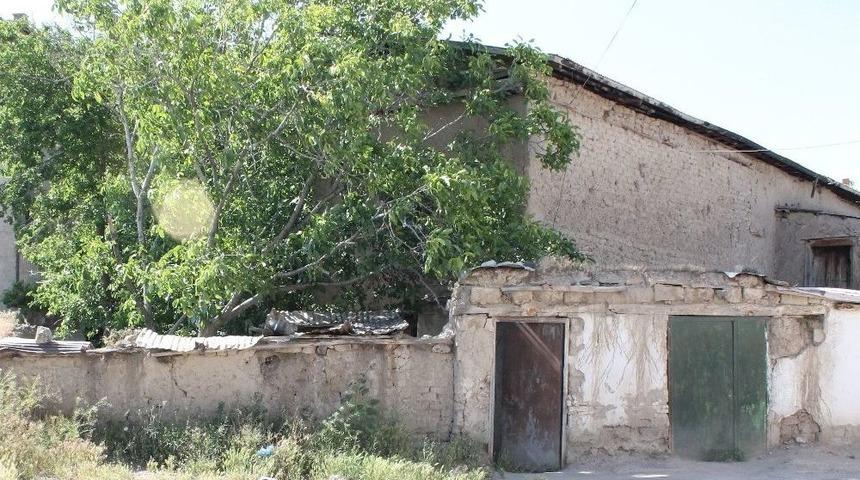 Annelerinin Cesediyle 15 G&uuml;n Yaşadılar