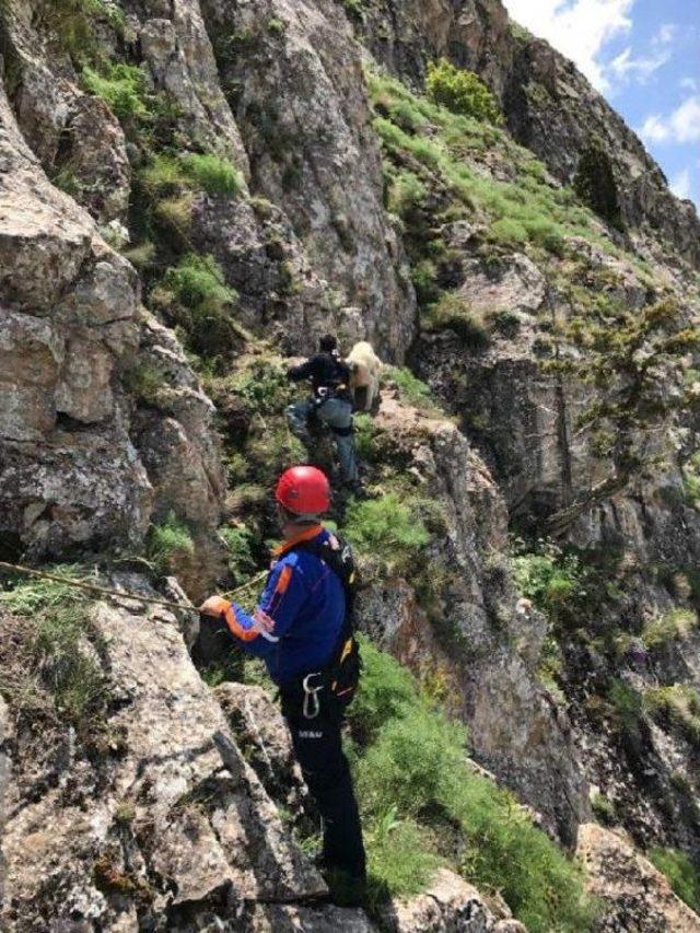 1 Haftadır Dağlık Arazide Mahsur Kalan Pulsar Kurtarıldı