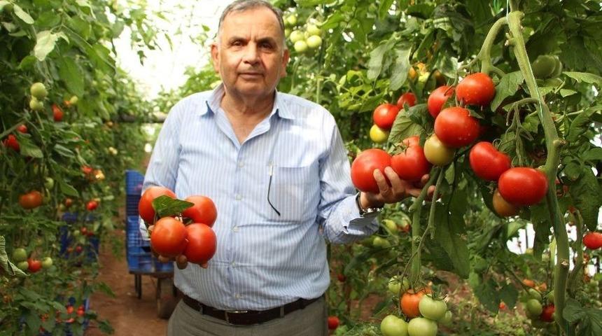 Kayhan: "&ccedil;ift&ccedil;ilerimiz Zararına Satış Yapmaktadır"