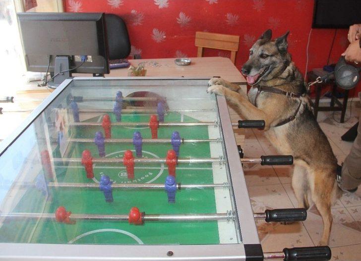 Polis Önce Zanlıları, Sonra Silahları Dizdi G5