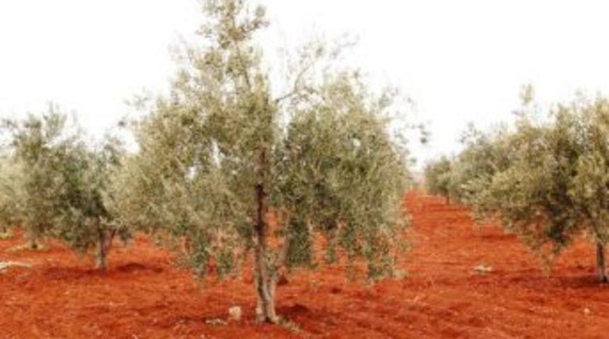 Tema Vakfı: Sanayinin Geliştirilmesi Khk'si Gıda G&uuml;venliği, &Ccedil;evre, Insan Sağlığı Ve Tarımsal &Uuml;retimi Tehdit Ediyor