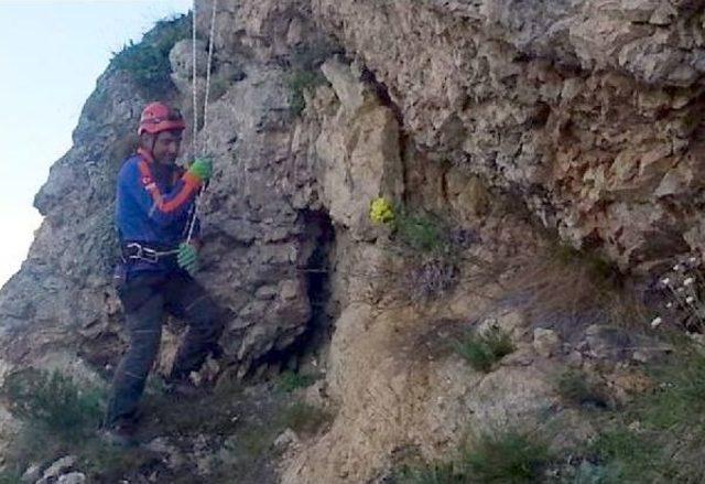 Afad'tan Keçi Kurtarma Operasyonu