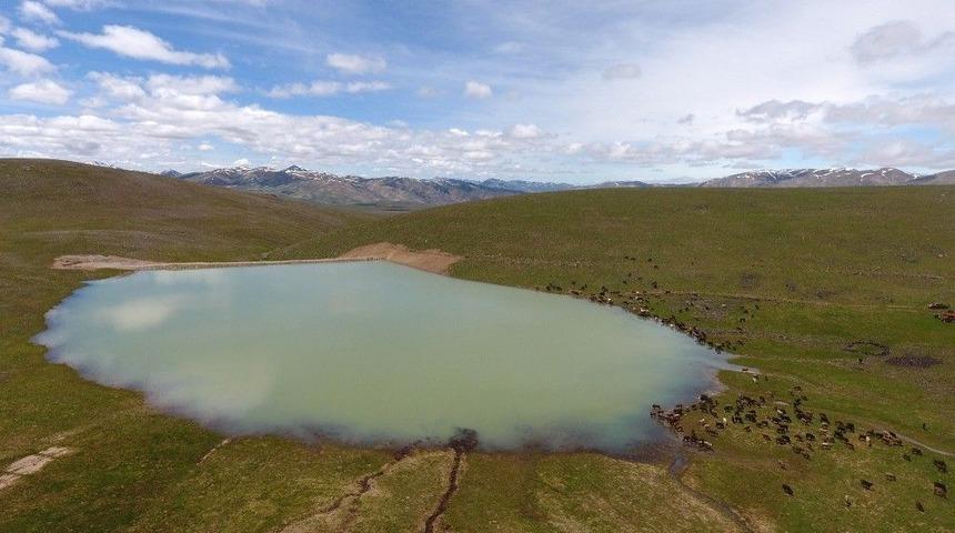 B&uuml;y&uuml;kşehir&rsquo;den Tarım Ve Hayvancılığa Tam Destek
