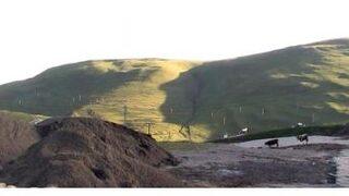 Mucize Silüet, Erkenden Çıktı