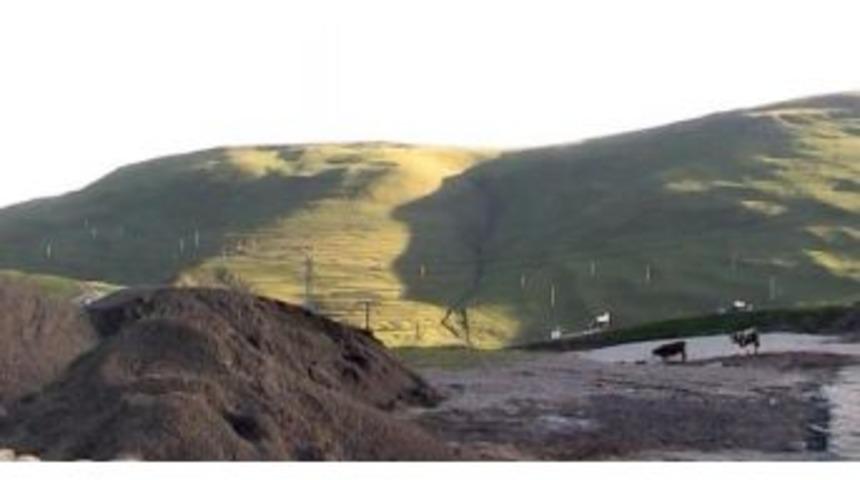 Mucize Silüet, Erkenden Çıktı