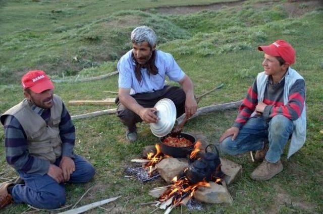 Yüksekova'da Çobanlar Dağda Iftar Sofrası Kuruyor