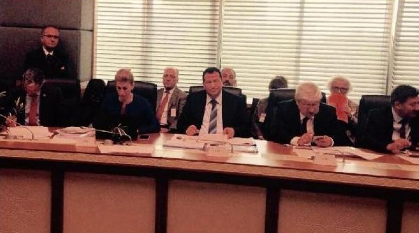 Mhp'li Tanrıkulu'ndan, 'zeytincilik Yasası' Tepkisi