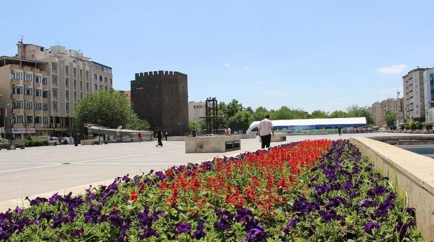 Gri Surlar &Ccedil;i&ccedil;eklerle Renklendi