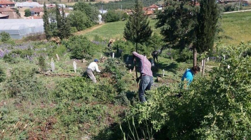K&ouml;pr&uuml;başı&rsquo;nda Mezarlıklar Temizleniyor