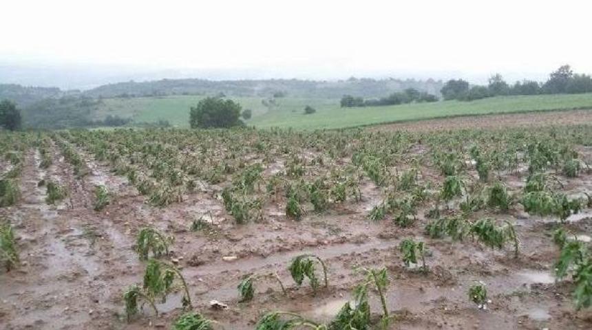 İneg&ouml;l&rsquo;De Dolu Ve Sel Ekili Alanlara Zarar Verdi