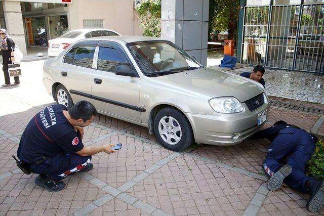 Antalya’da Yavru Kediyi Kurtarma Operasyonu