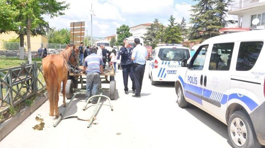 At Arabası Yayaya &Ccedil;arptı, 1 Yaralı
