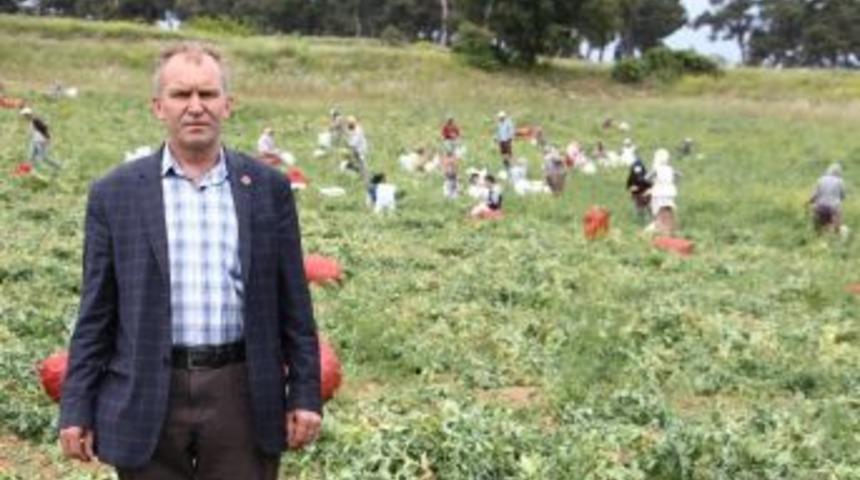 Tarlada 1,5 Lira Pazarda 3,5 Lira