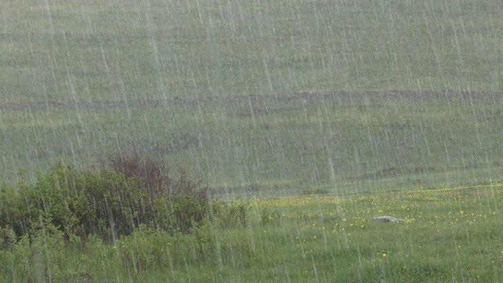 Dolu, Tarım Arazilerine Zarar Verdi G3