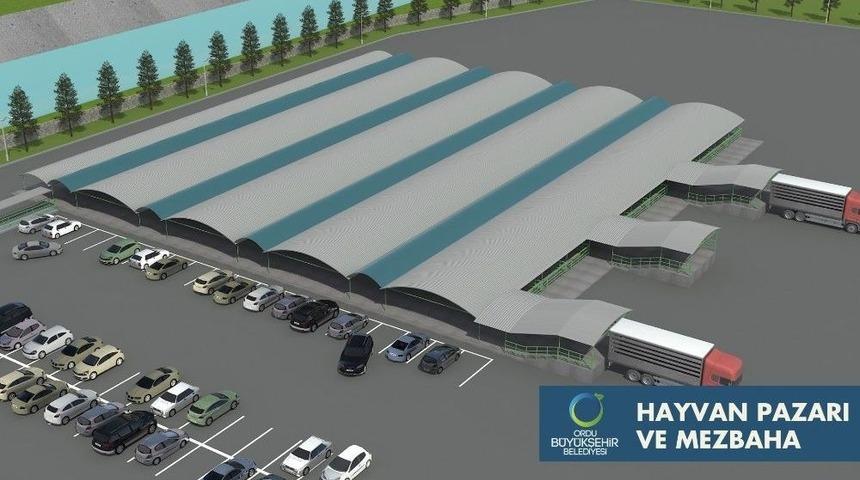 Fatsa&rsquo;ya 300 Kişilik İstihdamlı Proje