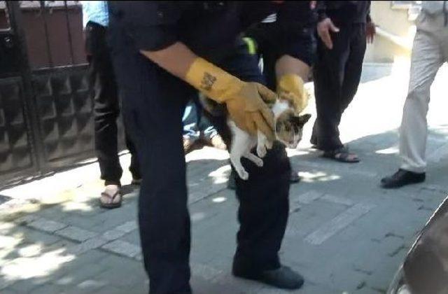 İtfaiyeden Otomobil Motorlarına Giren Yavru Kediyi Kurtarma Operasyonu 1