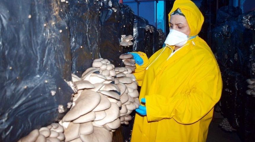 Kas Hastası Oğlunun Tedavi Giderleri İ&ccedil;in Evinde Mantar &Uuml;retiyor