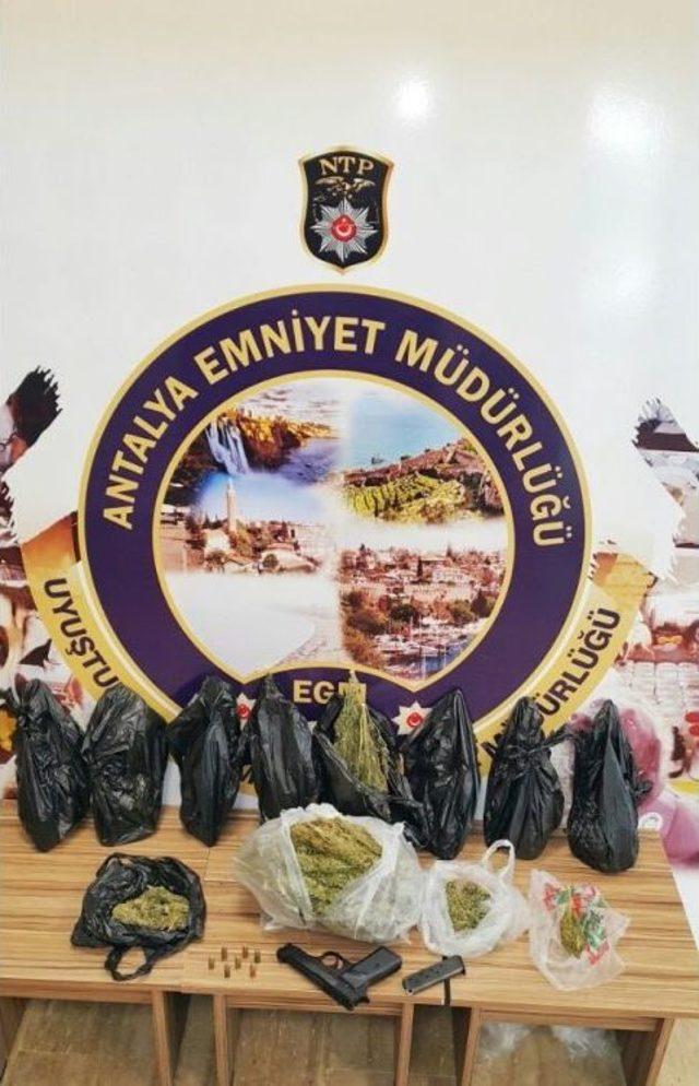 Antalya’da 61 Kilo Esrar Ele Geçirildi