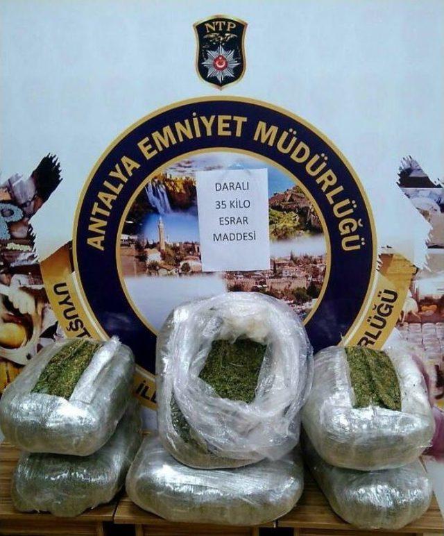 Antalya’da 61 Kilo Esrar Ele Geçirildi