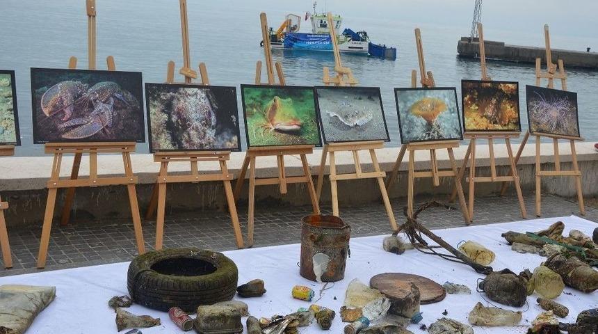 Denizin Dibinden &Ccedil;ıkanlar Hayrete D&uuml;ş&uuml;rd&uuml;