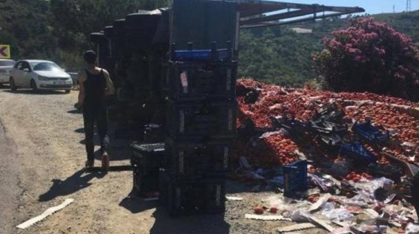20 Ton Domates Y&uuml;kl&uuml; Tır Devrildi
