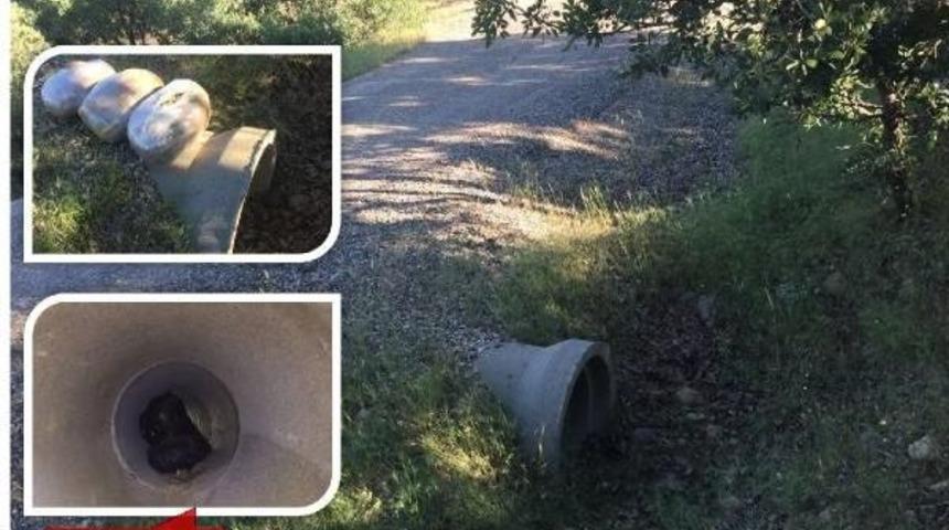 Diyarbakır'daki B&uuml;y&uuml;k Operasyonda Silah, M&uuml;himmat Ve Uyuşturucu Ele Ge&ccedil;irildi