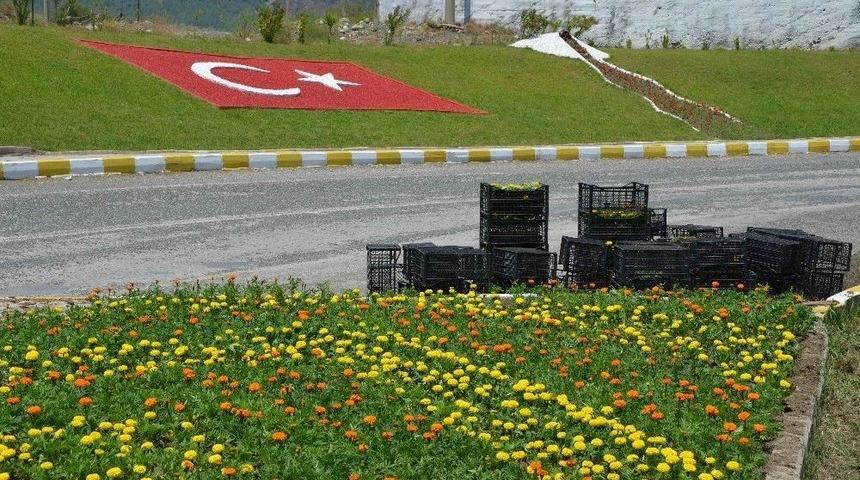 K&ouml;yceğiz&rsquo;de Mevsimlik &Ccedil;i&ccedil;ek Dikimi