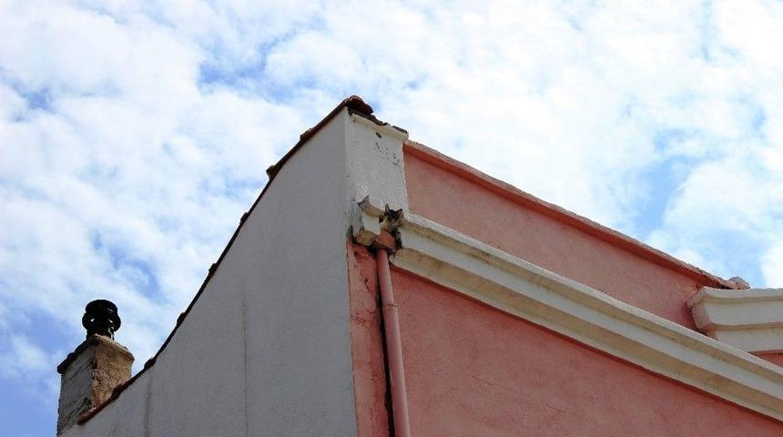 Sevimli Kedi Hayvansever Tarafından Kurtarıldı