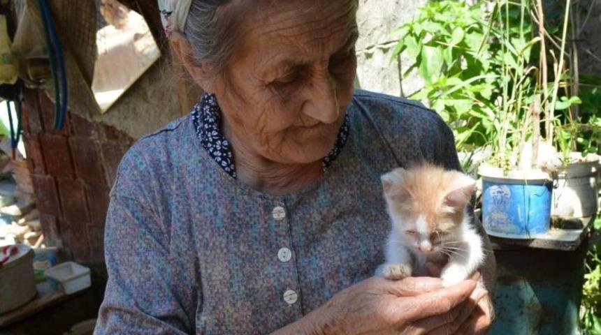 İzmir’deki Vahşet Hayvanseverleri Ayaklandırdı