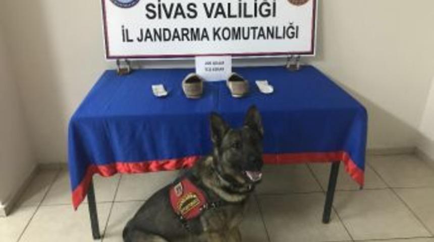 Ayakkabı Tabanına Gizlenmiş Uyuşturucuyu Narkotik K&ouml;peği Buldu