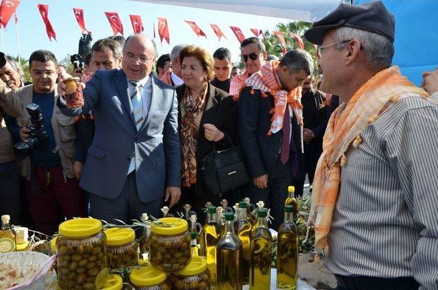 Milas 4. Zeytin Hasat Şenliği 25 - 26 Kasım’da