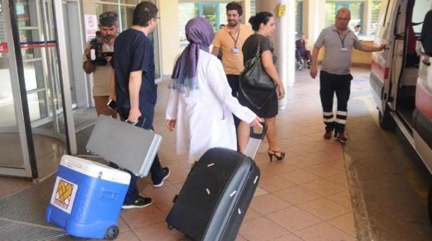 16 Yaşındaki Yağmur, Organlarıyla 4 Kişiye Hayat Verecek