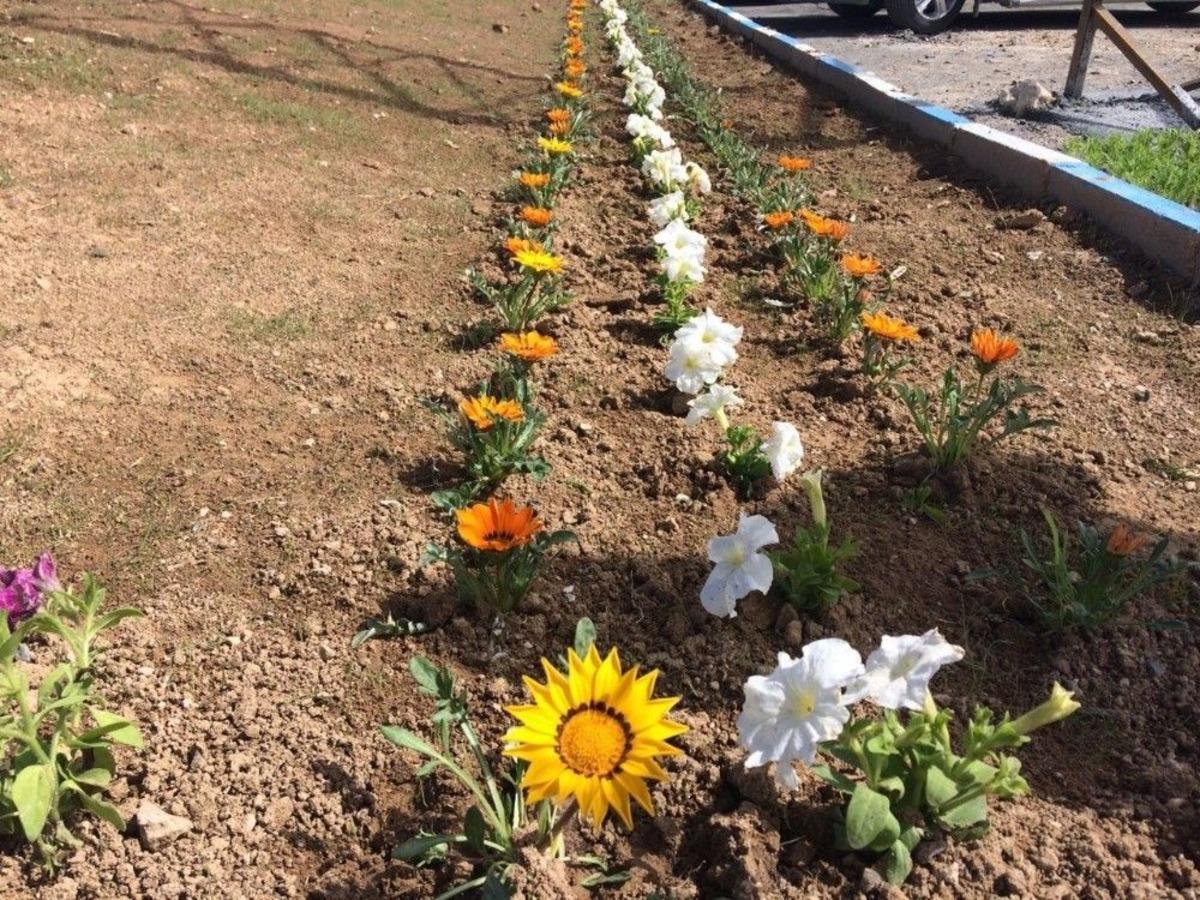 Edremit &Ccedil;i&ccedil;eklerle S&uuml;sleniyor