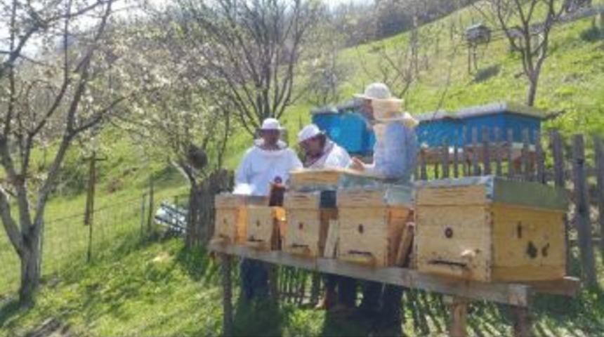 Sırbistan&rsquo;da Gen&ccedil; Arıcılara Eğitim