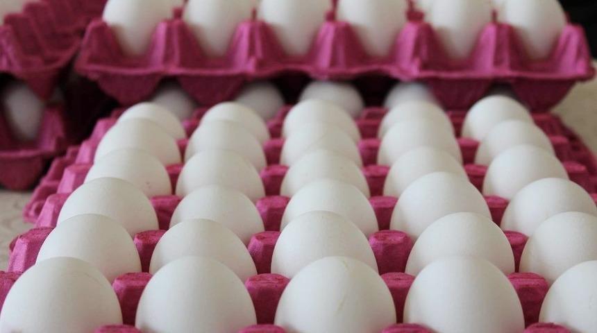 Yumurta Sekt&ouml;r&uuml; Krizle Karşı Karşıya