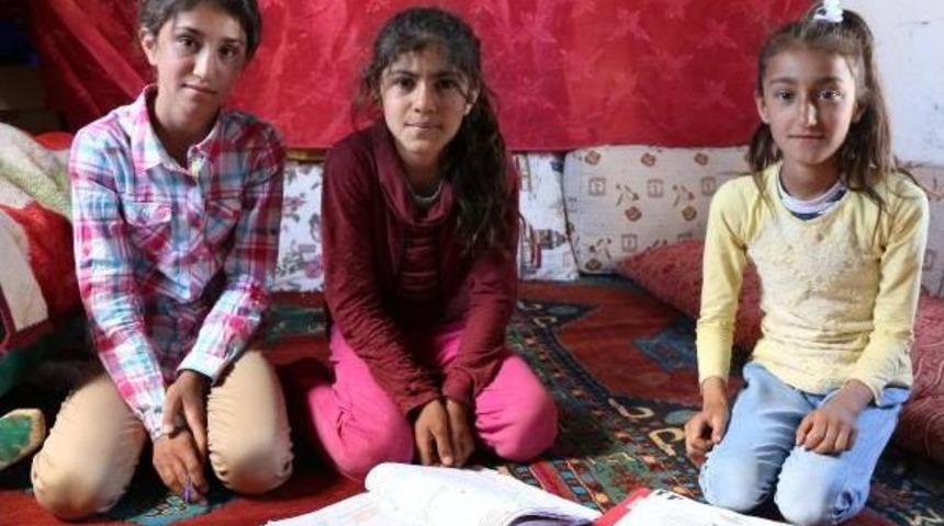 Teog Şampiyonu Olduğunu Tarlada &Ccedil;alışırken &Ouml;ğrendi